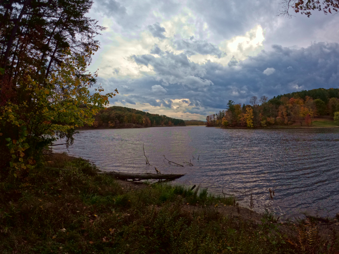 Parking Area for Bullfrog Loop Trail and Holler Collar Trail.